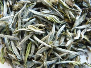 白茶市场批发市场